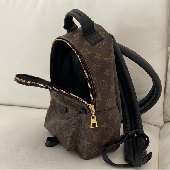 Louis Vuitton Palm Springs Backpack PM - Picture 10 of 16